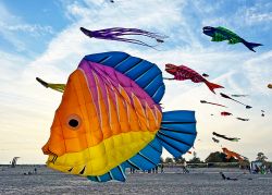 Drachenfest Fehmarn 2023 Zirkel Events web