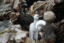 Figurentheater Der kleine FlontschAnnett Melzer