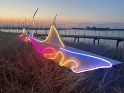 Lichtermeer Fehmarn Tourismus Service Fehmarn