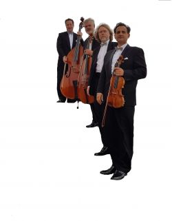 Salon Philharmoniker 1