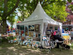 Rapsbluetenfest2025 FehmarnKultur 9721 Czellnik web