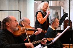 Offene Bandprobe 6303 web